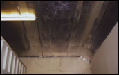 Double Bubble Radiant Barrier Reflectice Insulation