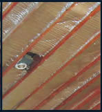 Foil Insulation